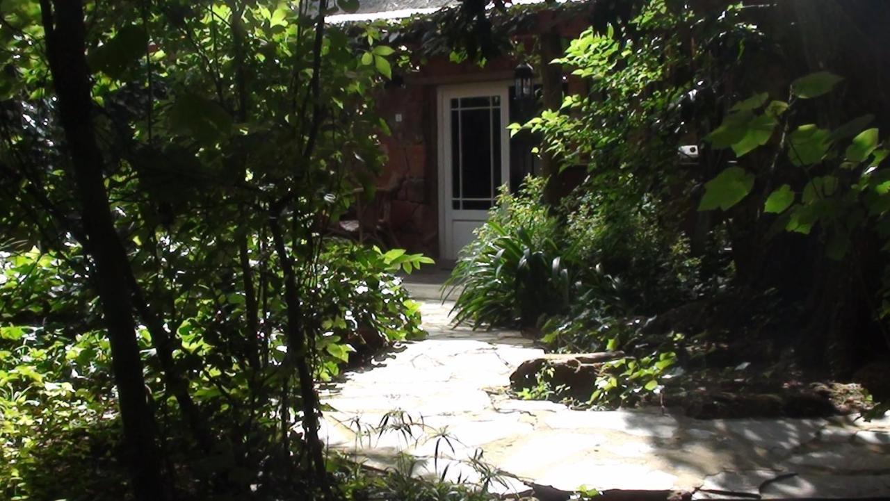 Forest Creek Lodge & Spa Dullstroom Room photo