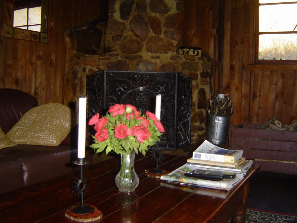 Forest Creek Lodge & Spa Dullstroom Room photo