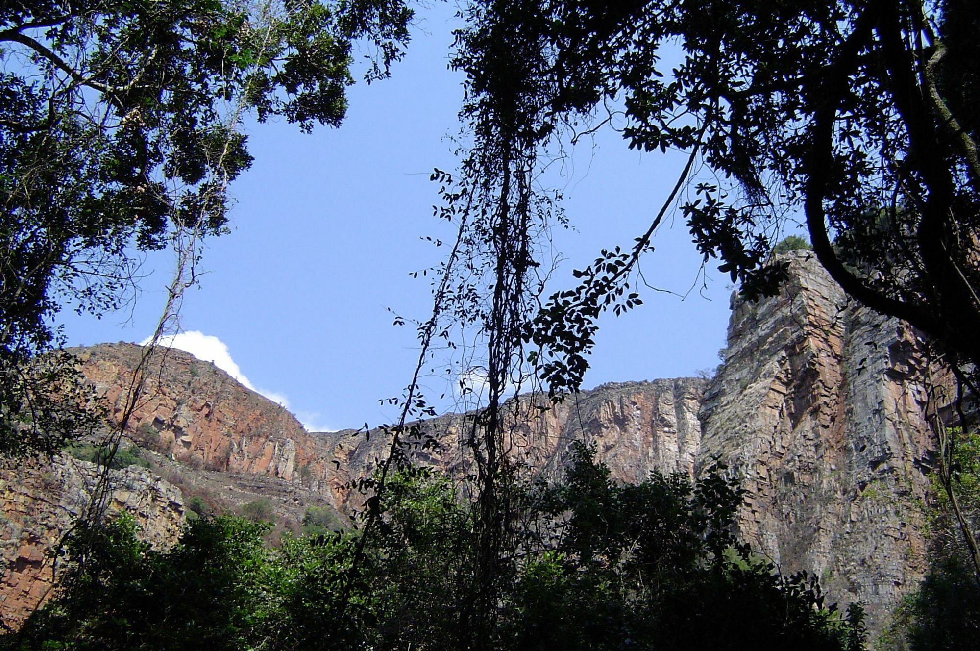 Forest Creek Lodge & Spa Dullstroom Exterior photo