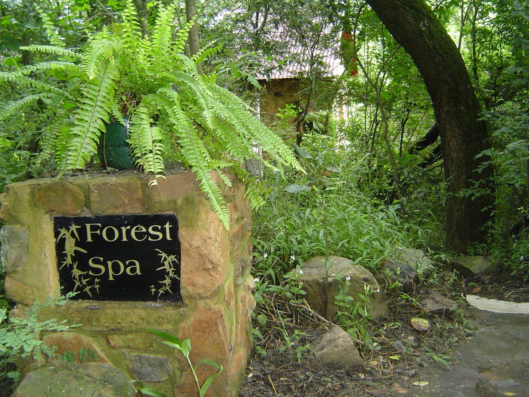 Forest Creek Lodge & Spa Dullstroom Exterior photo
